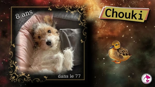 Chouki