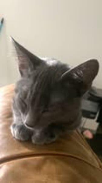 GIPSYetPOE