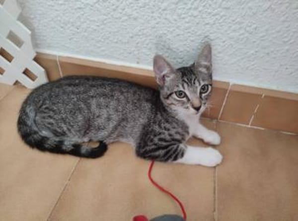 Kleine Karla