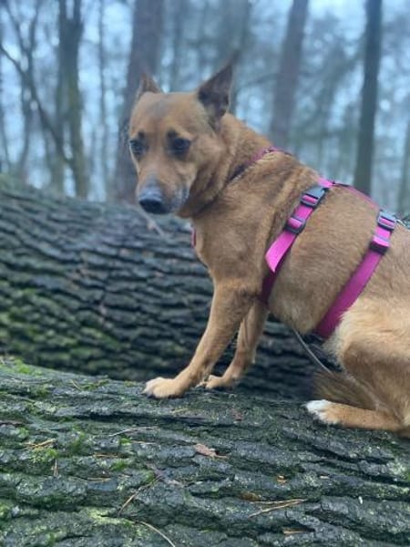 Emily🧡🧡🧡sucht Herzensmenschen