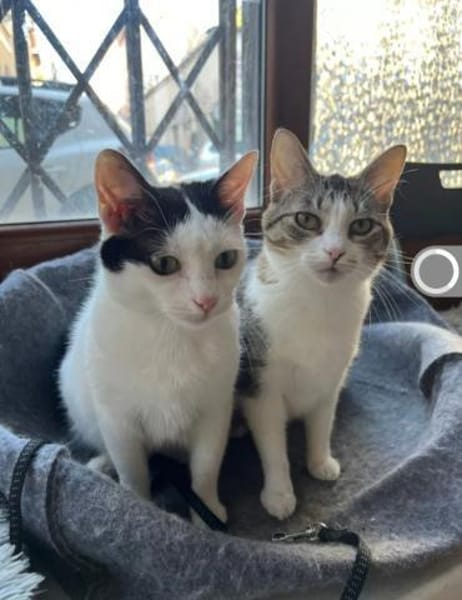 Kira & Mira Freundliche liebe Schwestern