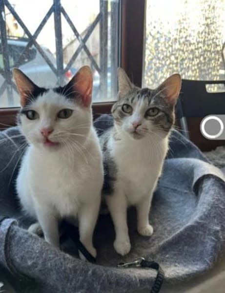 Kira & Mira Freundliche liebe Schwestern
