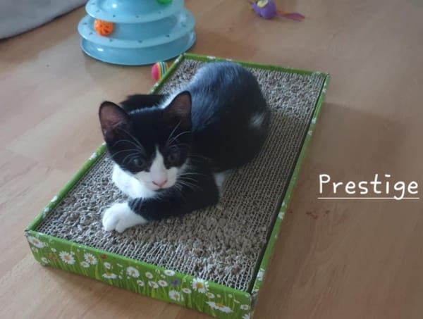 Prestige