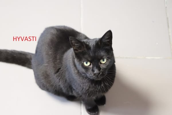 Hyvästi