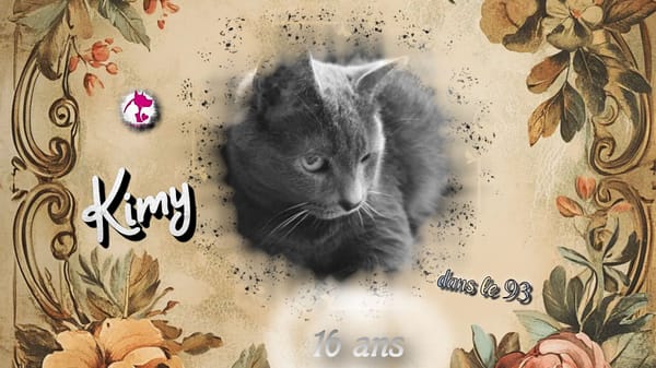Kimy