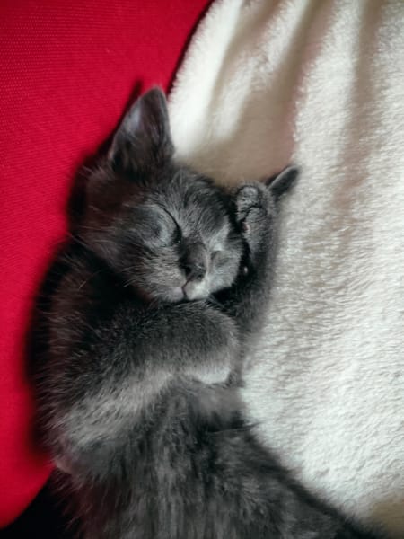 Berlioz