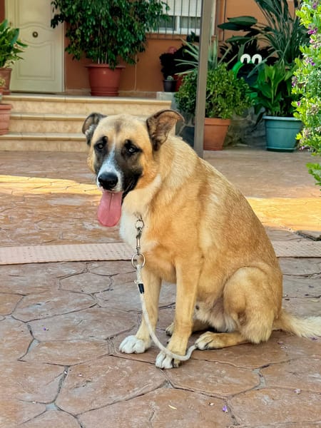 BENJAMIN (Martina)