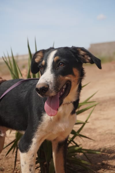 CARLOS (Maria)