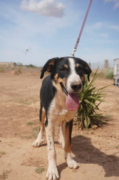 CARLOS (Maria)
