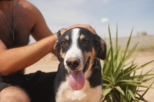 CARLOS (Maria)