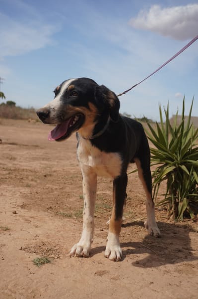 CARLOS (Maria)