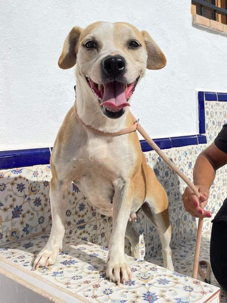 MOLLY (Maria)