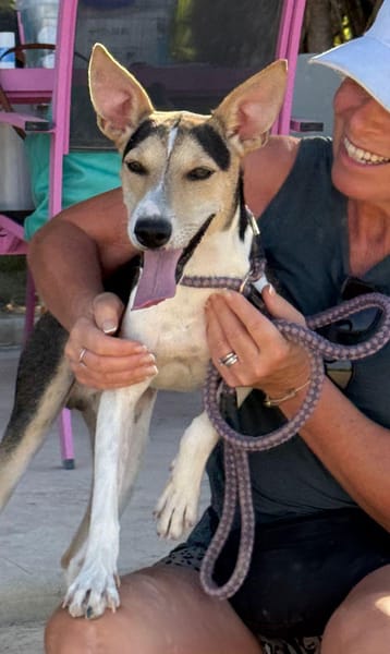 PINGO (Maria)
