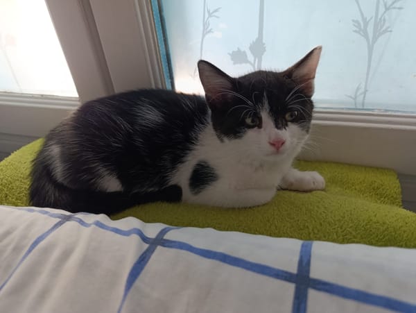 Léon