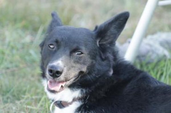 MOLLY - 37 cm kompakte Lebensfreude!