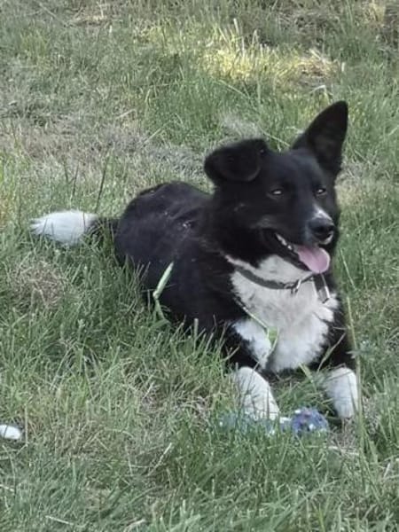 MOLLY - 37 cm kompakte Lebensfreude!