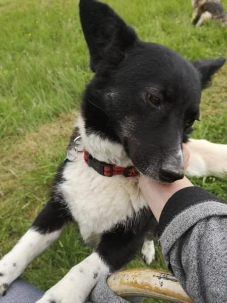 MOLLY - 37 cm kompakte Lebensfreude!