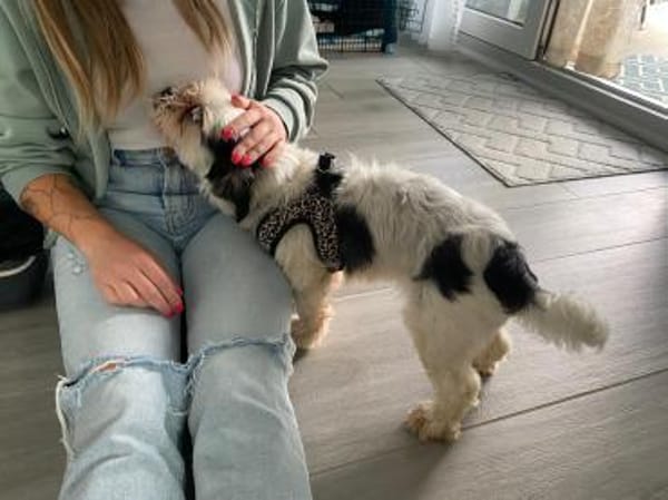 KALINE ❤ sucht ihr Für-immer-Zuhause