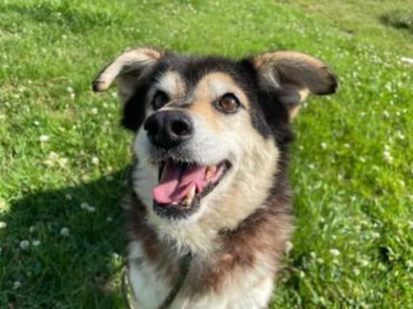 Clara, fitte Seniorin su. 1. Zuhause