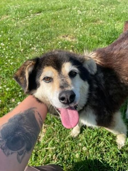 Clara, fitte Seniorin su. 1. Zuhause