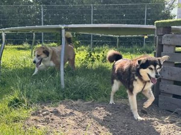 Clara, fitte Seniorin su. 1. Zuhause