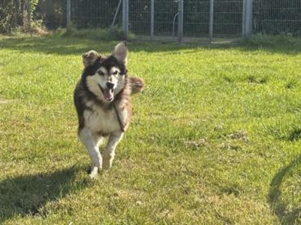Clara, fitte Seniorin su. 1. Zuhause