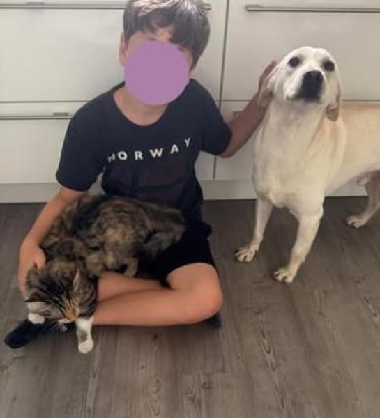 ❤ Bongo, Pflegefamilie 41812 Erkelenz