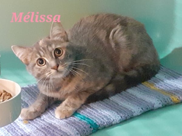 Mélissa