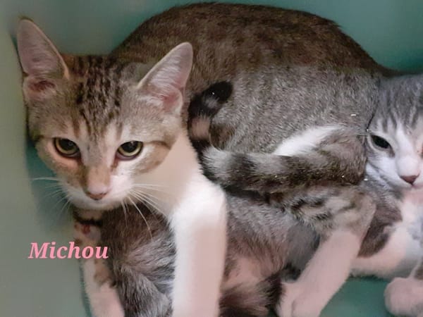 Michou