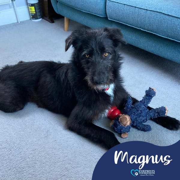 Magnus