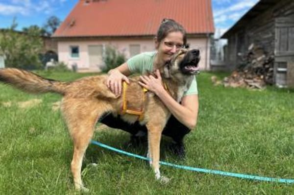 Wunderbare Rey  alles auf Anfang!🐶