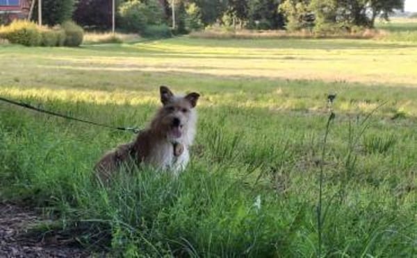 Celina sucht eine aktive Familie