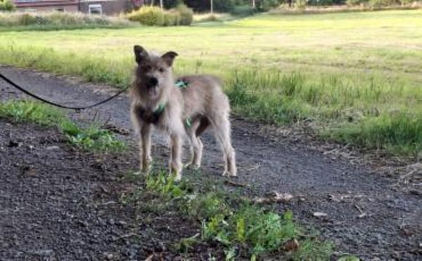 Celina sucht eine aktive Familie