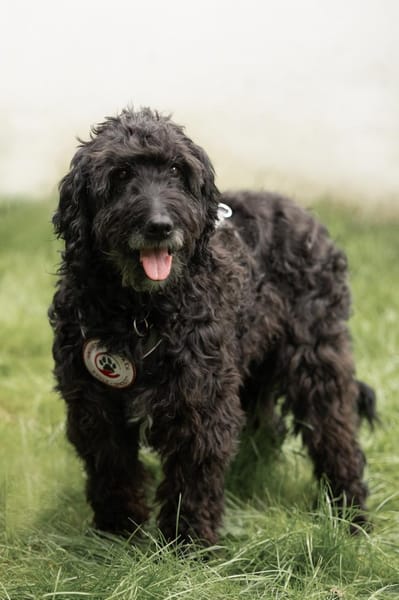 Xaver - Senior sucht Senior:in