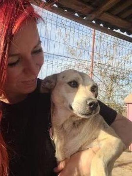 Goldschatz ENYA sucht ihr zu Hause
