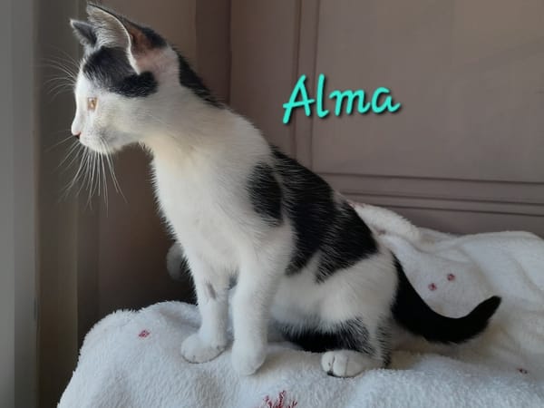 Alma
