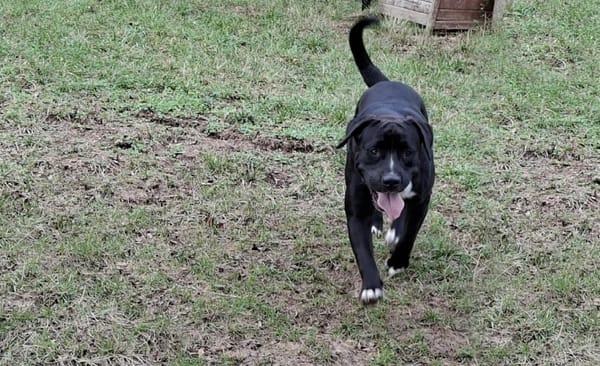 Marley (réservé)