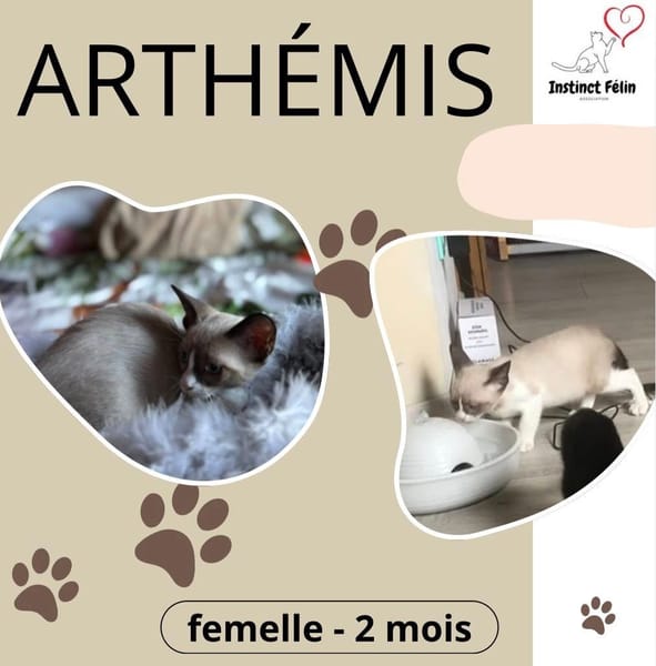 ARTHEMIS