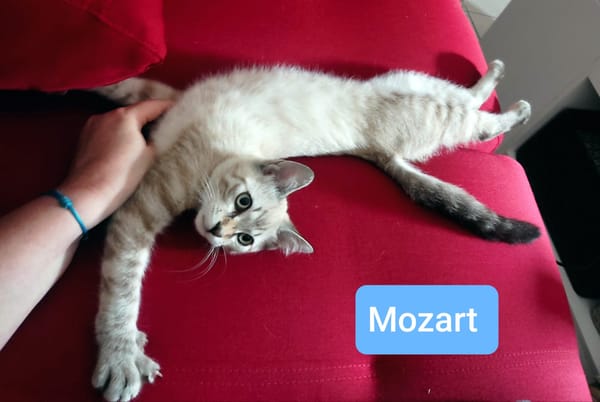 Mozart