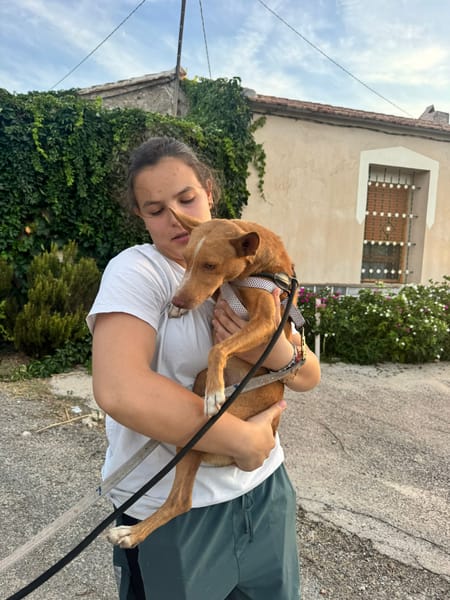 APOLO  (Martina)