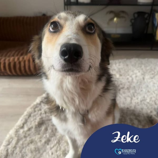 Zeke