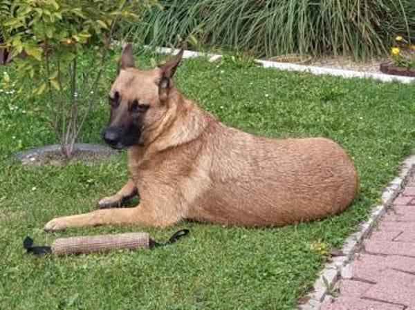 Runa sucht sportliche Menschen