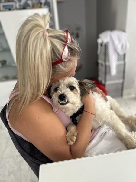 Liebevoller, kleiner Familienhund