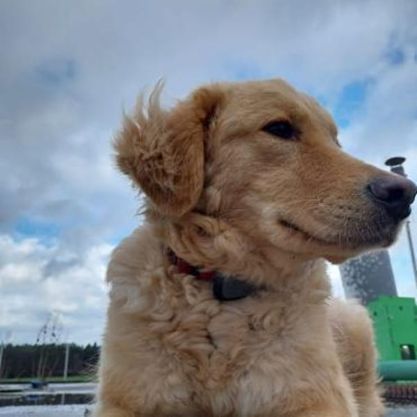 GINA 🧡🧡🧡 sucht Familienanschluss