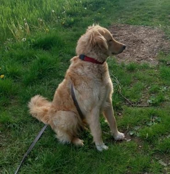 GINA 🧡🧡🧡 sucht Familienanschluss