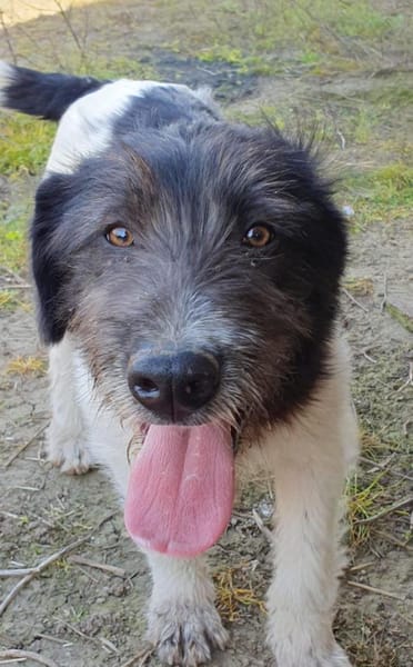 Oskar will die Welt entdecken