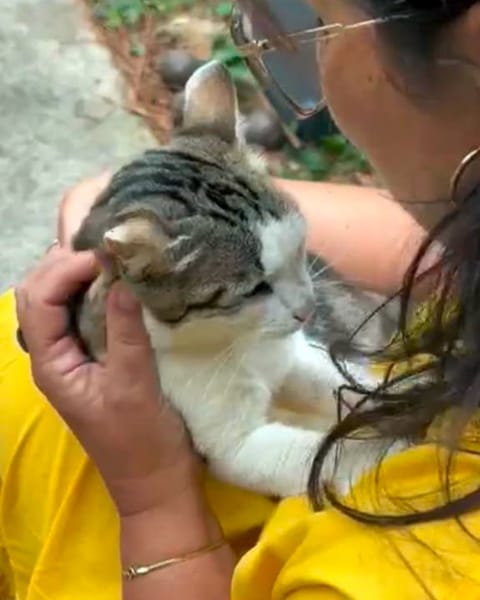 BELLA**