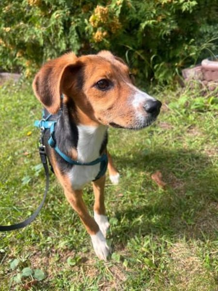Lotti sucht ihre Familie