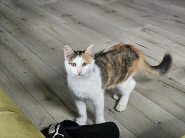 BELLA & DIAMONT- die Unzertrennlichen!