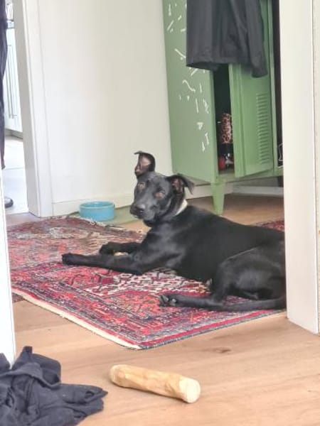 Melody braucht Ruhe